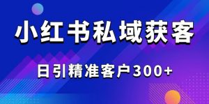2025最新小红书平台引流获客截流自热玩法讲解,日引精准客户300+-网创源码