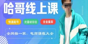 电商线上课程2025年，快速起号，流量破层级，这套方法起号率99%-网创源码