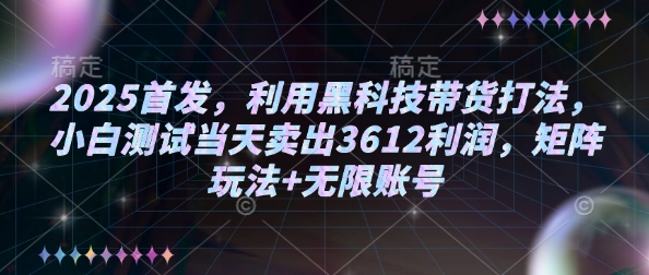 2025首发,利用黑科技带货打法,小白测试当天卖出3612利润,矩阵玩法+无限账号【揭秘】-网创源码