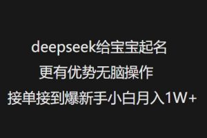 deepseek给宝宝起名更有优势无脑操作接单接到爆新手小白月入1W+-网创源码
