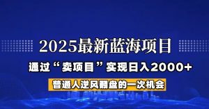 2025年蓝海项目,如何通过“网创项目”日入2000+-网创源码