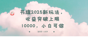 书旗2025新玩法，收益突破上限10000，小白可做-网创源码