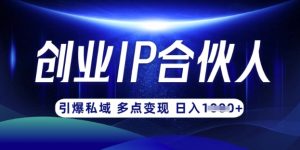 云帆·创业ip合伙人打造3.0，从0到1教你做网创，实现月入过W-网创源码