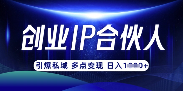 云帆·创业ip合伙人打造3.0，从0到1教你做网创，实现月入过W-网创源码
