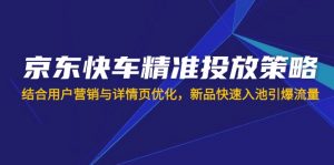 京东快车精准投放策略，结合用户营销与详情页优化，新品快速入池引爆流量-网创源码