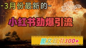 小红书超劲爆引流手段,图文日引300+轻松变现1W-网创源码