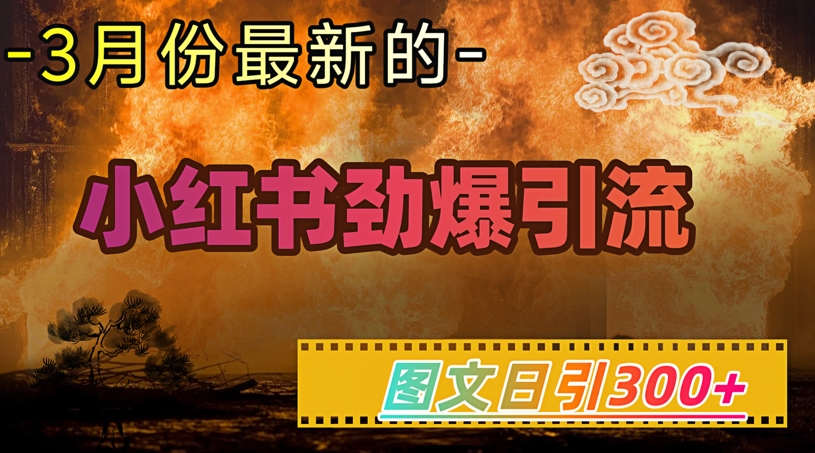 小红书超劲爆引流手段,图文日引300+轻松变现1W-网创源码