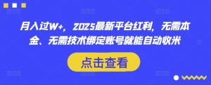 月入过W+，2025最新平台红利，无需本金、无需技术绑定账号就能自动收米-网创源码