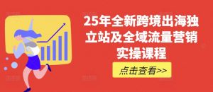 25年全新跨境出海独立站及全域流量营销实操课程,跨境电商独立站TIKTOK全域营销普货特货玩法大全-网创源码