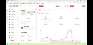 2025小红书虚拟电商实战课-网创源码