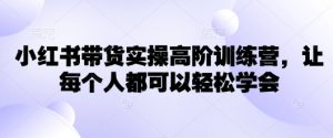 小红书带货实操高阶训练营,让每个人都可以轻松学会-网创源码