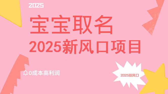 2025新风口项目宝宝取名，0成本高利润，附保姆级教程，月入过万不是梦-网创源码
