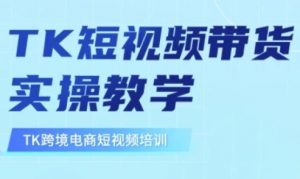 东南亚TikTok短视频带货，TK短视频带货实操教学-网创源码