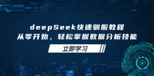 deepSeek快速驯服教程，从零开始，轻松掌握数据分析技能-网创源码