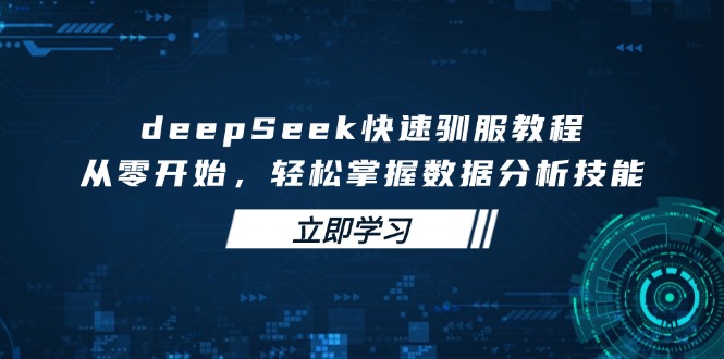 deepSeek快速驯服教程，从零开始，轻松掌握数据分析技能-网创源码