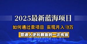 2025蓝海项目，普通人如何通过卖项目，实现月入过W，全过程【揭秘】-网创源码