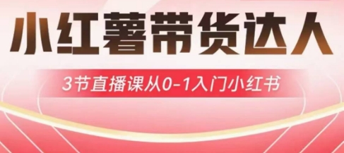小红薯达人带货启航计划,3节直播课从0-1入门小红书-网创源码