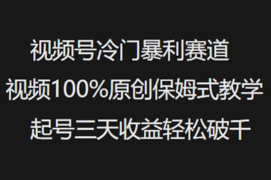 视频号冷门暴利赛道视频100%原创保姆式教学起号三天收益轻松破千-网创源码