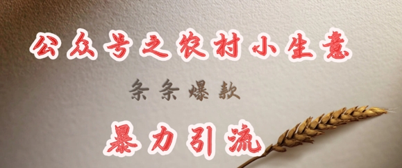 deepseek写农村小项目,条条爆款,暴力引流-网创源码