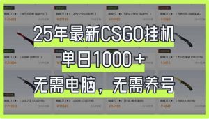 25年最新CSGO挂机系统，单日1000+，无需电脑，无需养号，0基础可上手-网创源码