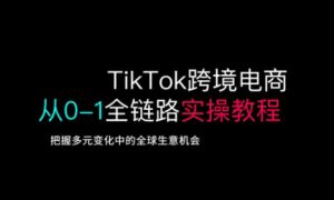 TikTok跨境电商从0-1全链路全方位实操教程，把握多元变化中的全球生意机会-网创源码