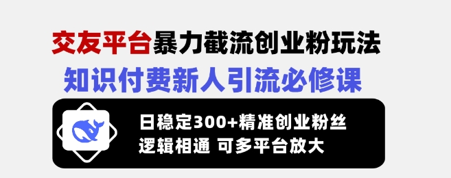 交友平台暴力截流创业粉玩法，知识付费新人引流必修课，日稳定300+精准创业粉丝，逻辑相通可多平台放大-网创源码