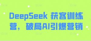 DeepSeek 获客训练营，破局AI引爆营销-网创源码