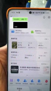 抖音暴力涨粉技术：一天轻松1-10万粉，技术不确定真实性，自测-网创源码
