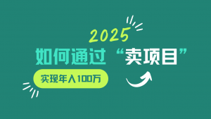 2025年如何通过“卖项目”实现年入100w-网创源码