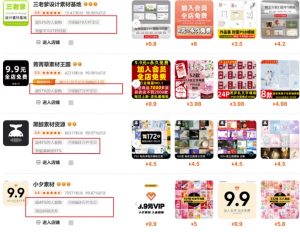 0成本虚拟项目实战手把手教你落地，单店月入5k-网创源码