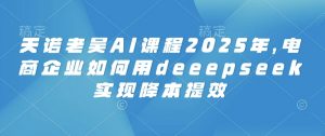 天诺老吴AI课程2025年,电商企业如何用deeepseek实现降本提效-网创源码