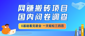 网赚搬砖项目，国内问卷调查，0基础看完就会 一天轻松三四百，靠谱副业...-网创源码