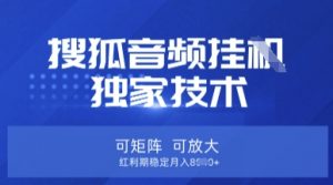 【搜狐音频挂G】独家技术，可矩阵可放大，红利期稳定月入8k【揭秘】-网创源码