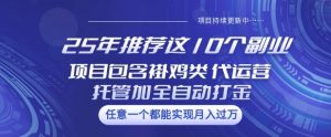 25年推荐这10个副业项目包含褂鸡类、代运营托管类、全自动打金类【揭秘】-网创源码
