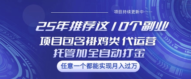 25年推荐这10个副业项目包含褂鸡类、代运营托管类、全自动打金类【揭秘】-网创源码