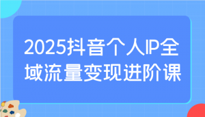 2025抖音个人IP全域流量变现进阶课：选爆品、抖音付费投流、千川投流实操及优化等-网创源码