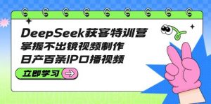 DeepSeek获客特训营：掌握不出镜视频制作，日产百条IP口播视频-网创源码
