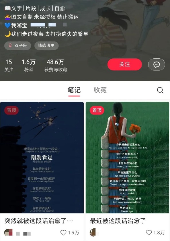 小红书治愈文案图文笔记,零门槛,一分钟制作轻松制作爆款作品月入万元-网创源码