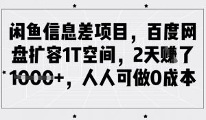 闲鱼信息差项目,百度网盘扩容1T空间,2天收益1k+,人人可做0成本-网创源码