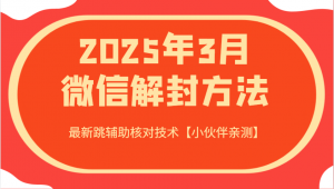 2025年3月微信解封方法 最新跳辅助核对技术【小伙伴亲测】-网创源码