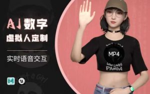 Ai数字人虚拟(智能体)实时语音交互特训营，​自行定制超写实角色AI数字人交互技术-网创源码
