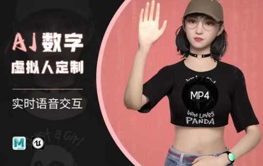 Ai数字人虚拟(智能体)实时语音交互特训营，​自行定制超写实角色AI数字人交互技术-网创源码