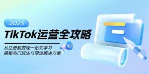 TikTok运营全攻略，从注册到变现一站式学习，揭秘热门玩法与限流解决方案-网创源码
