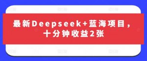 最新Deepseek+蓝海项目,十分钟收益2张-网创源码