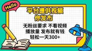 平台提供视频 你发布 无粉丝要求 不看视频播放量 发布就有钱 轻松一天300+-网创源码