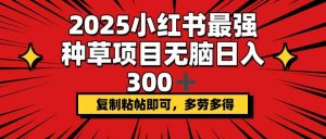 2025小红书最强种草项目，无脑日入300+，复制粘帖即可，多劳多得-网创源码