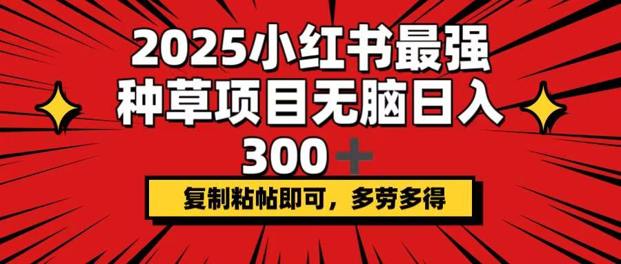 2025小红书最强种草项目，无脑日入300+，复制粘帖即可，多劳多得-网创源码