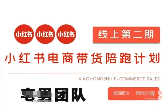 小红书电商带货课2期，月利润20个的小红书电商的有货源，无货源，虚拟产品，付费投流等整套玩法-网创源码