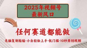 2025年视频号新风口，低门槛只需要无脑执行-网创源码