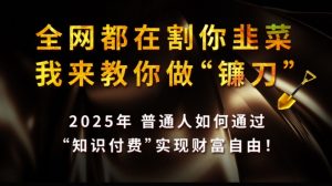 全网都在割你韭菜,我来教你做镰刀,2025普通人如何通过知识付费,实现财F自由【揭秘】-网创源码